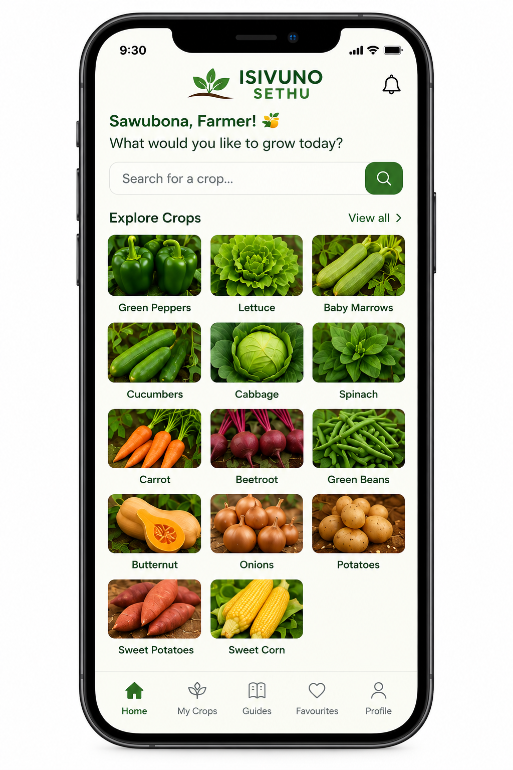Isivuno Planting Guide app — crop explorer screen on a phone